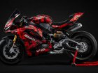 Ducati Panigale V2 890 Marquez &amp; Bagnaia Special Edition